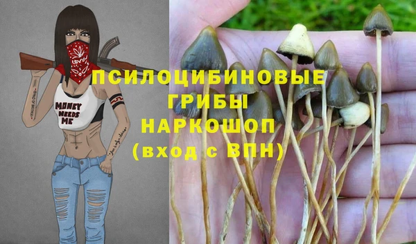 прущая мука Вязьма