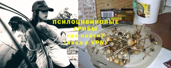 синтетический гашиш Вяземский