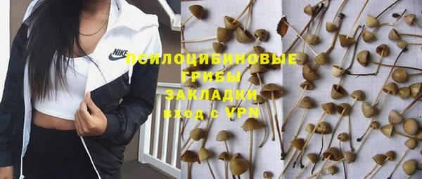 прущая мука Вязьма