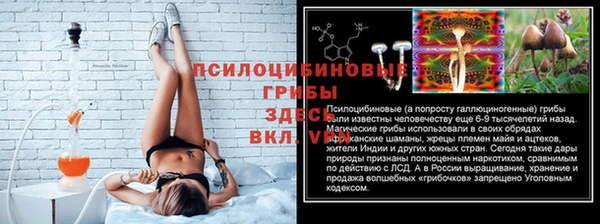 прущие крисы Вязники