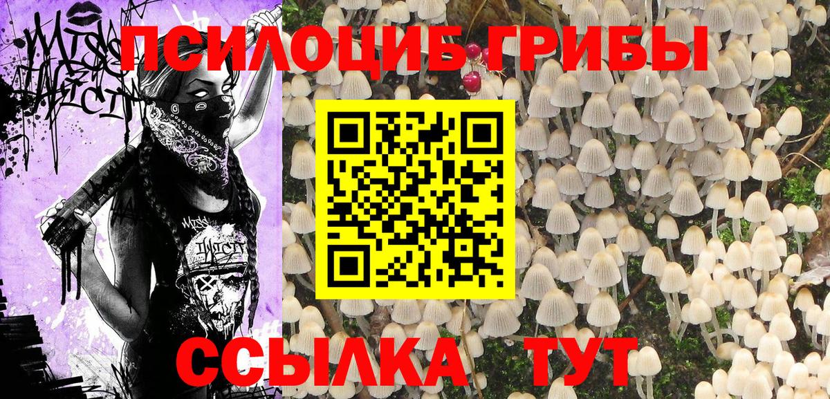 Псилоцибиновые грибы Psilocybine cubensis  Галлюциногенные грибы Magic Shrooms  Елец  Вход с VPN 